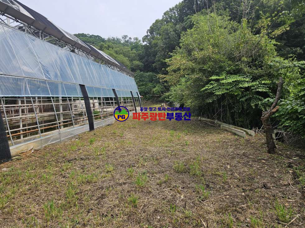 경기 파주시 적성면 장현리 토지1770평 건물53평 목장가능합니다 매매 매물번호 10276 사진 62