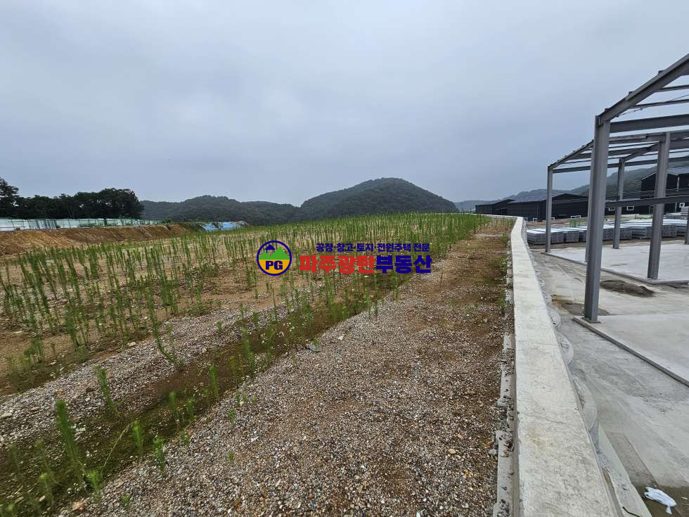 경기 파주시 검산동 대지1500평 토목공사완료 제2종근린생활시설허가 매매 매물번호 10074 사진 6