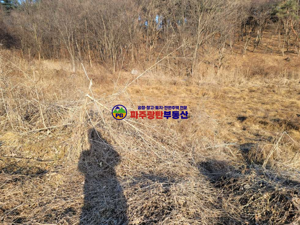 경기 파주시 광탄면 창만리 맹지 토지530평 공시지가이하 트인전망 자연인이다추천 매매 매물번호 10197 사진 2