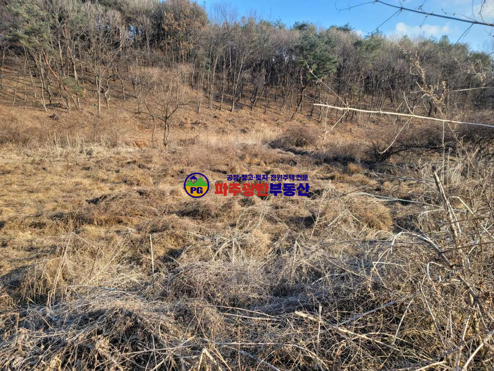 경기 파주시 광탄면 창만리 맹지 토지530평 공시지가이하 트인전망 자연인이다추천 매매 매물번호 10197 사진 3