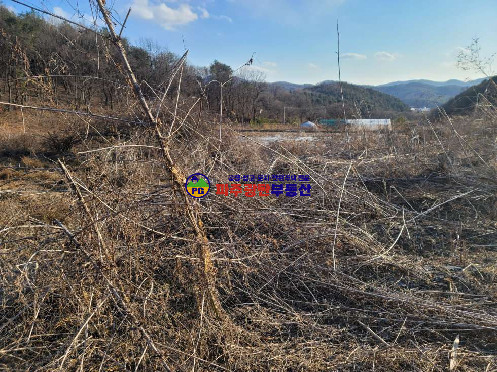 경기 파주시 광탄면 창만리 맹지 토지530평 공시지가이하 트인전망 자연인이다추천 매매 매물번호 10197 사진 4