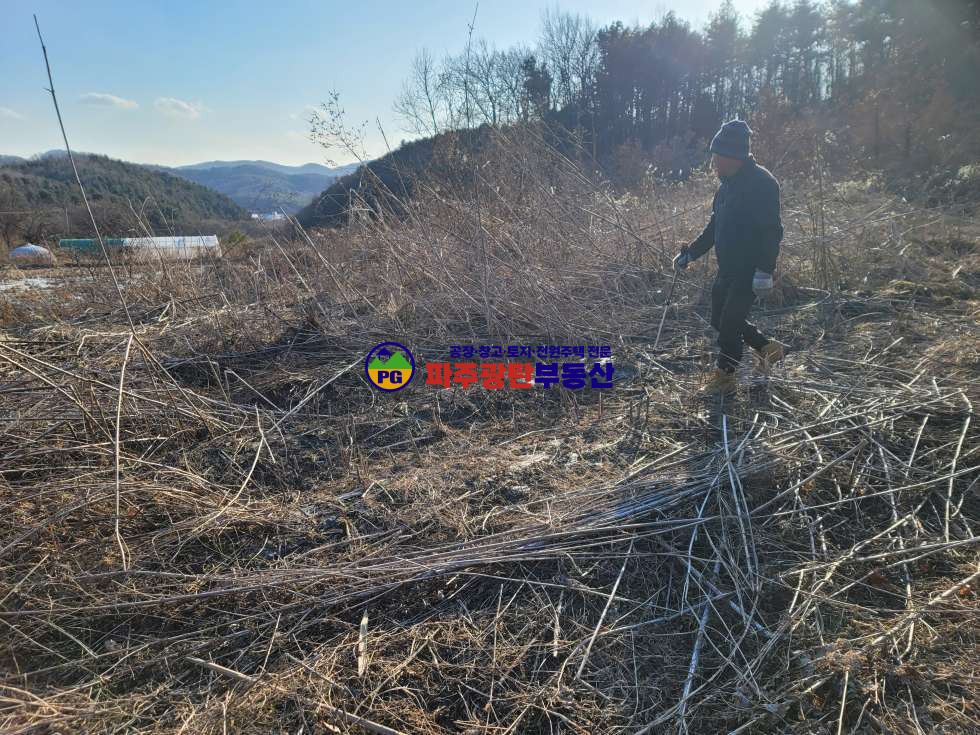 경기 파주시 광탄면 창만리 맹지 토지530평 공시지가이하 트인전망 자연인이다추천 매매 매물번호 10197 사진 5