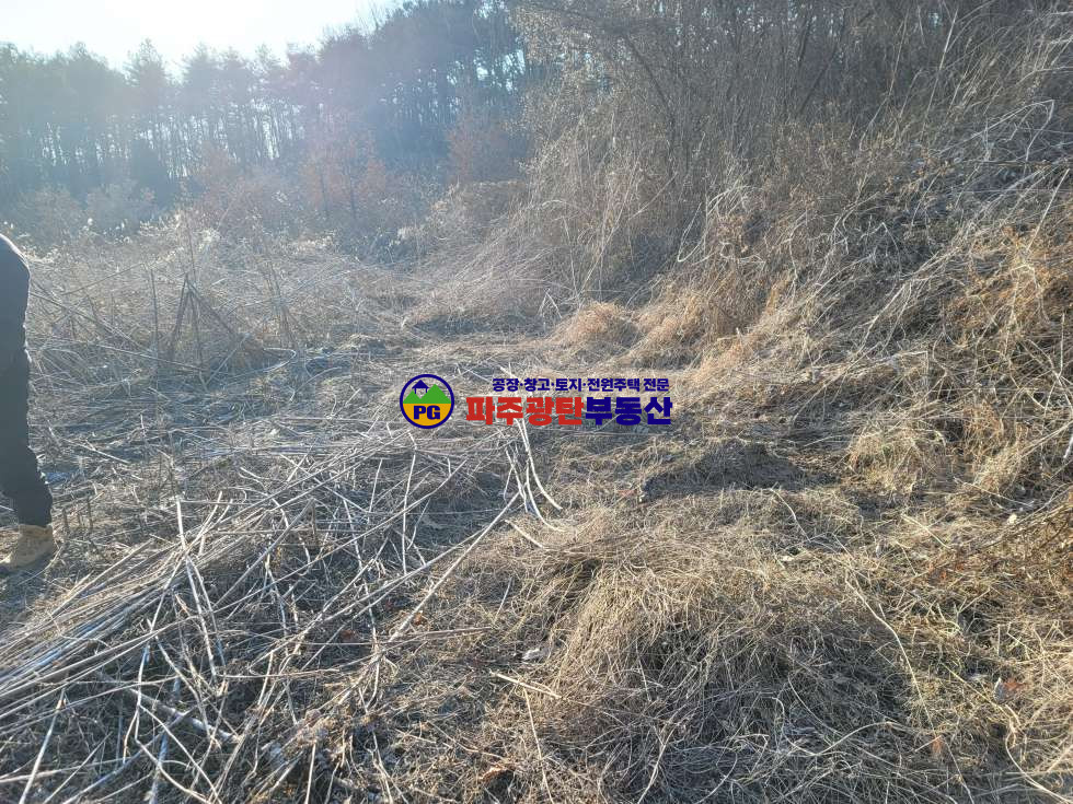 경기 파주시 광탄면 창만리 맹지 토지530평 공시지가이하 트인전망 자연인이다추천 매매 매물번호 10197 사진 6