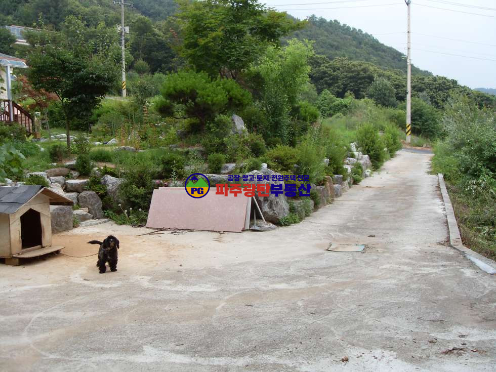 경기 파주시 광탄면 방축리 대지236평 건물45평 산밑 전망있음 매매 매물번호 10084 사진 6
