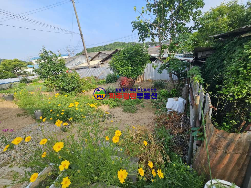 경기 파주시 조리읍 오산리 부지229평 건물20평 넓은텃밭 매매 매물번호 10222 사진 26